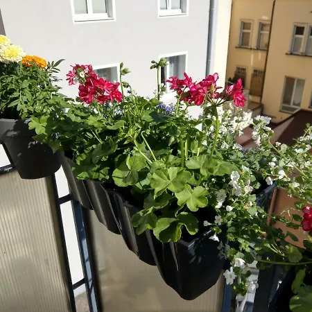 Bielski Lejlighed Gdańsk