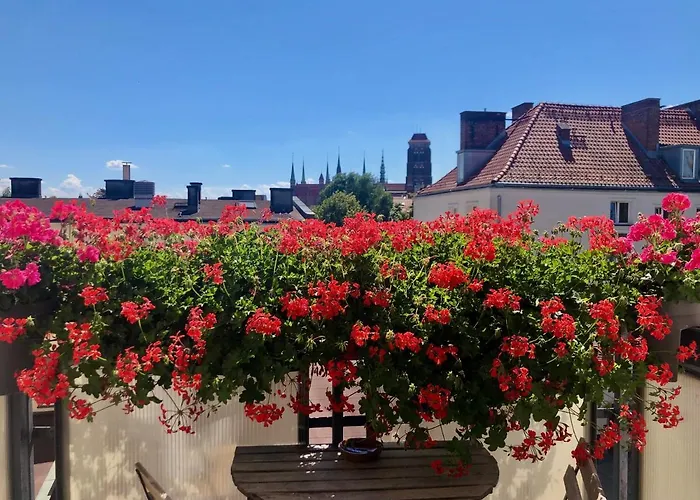 Bielski * Гданьск