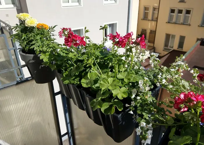 Bielski Apartamento Gdańsk